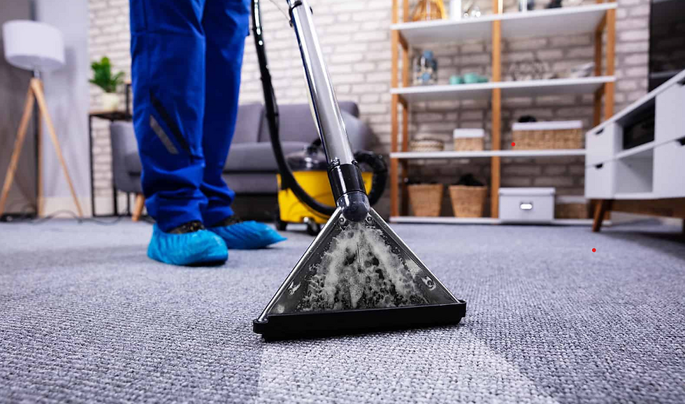 carpet ex up close.png
