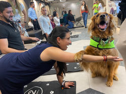 Brindando muchas sonrisas y risas con nuestro qeuipo canino especial de SOMOS 2