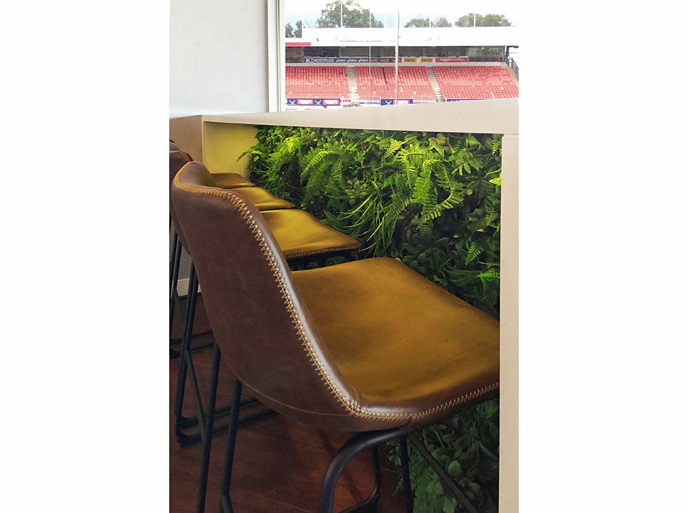 Thumbnail: Tooheys Corporate Stadium Suite