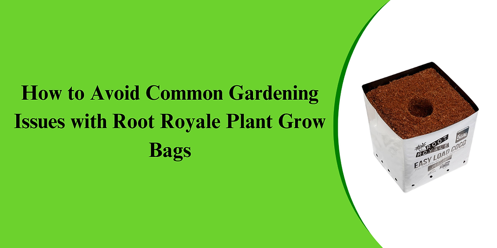 How to Avoid Common Gardening Issues with Root Royale Plant Grow Bags