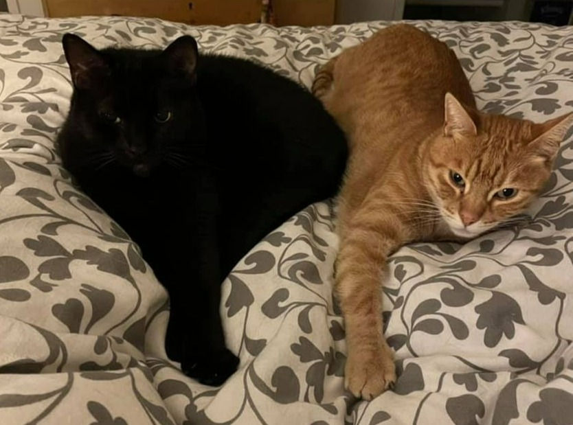 Ollie and Lulu_edited.jpg