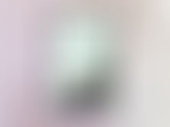 In het duister – Sharon Bolton