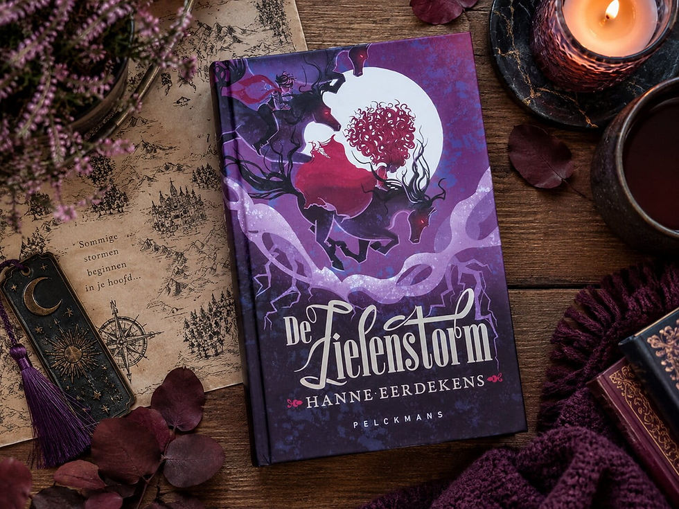 De Zielenstorm - Hanne Eerdekens
