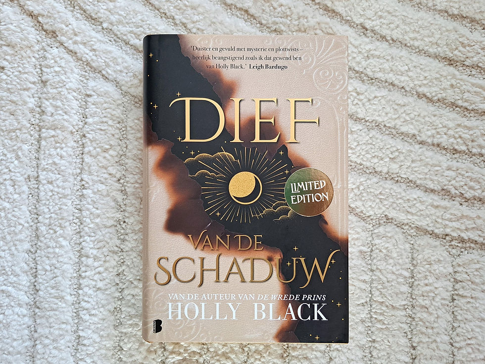 Dief van de schaduw - Holly Black