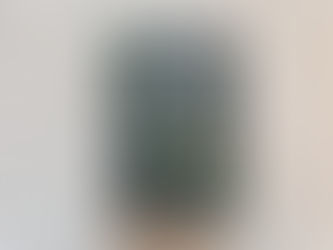 De verader van Evalon - Lynette Noni