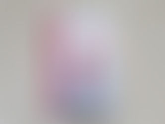 De zachtheid van een kreeft - Laure Manel