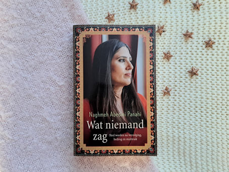 Wat niemand zag - Naghmeh Abedini Panahi
