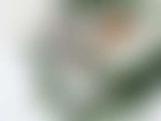 Je kunt je leven helen – Louise Hay