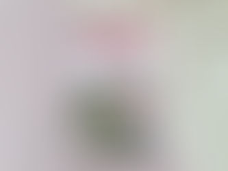 Van je familie moet je het hebben 2 - Onder moeders vleugels - Anna Thomas