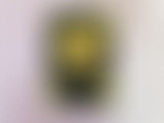 Zonnebloemen en weerwolven - Roselynd Randolph