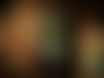 De backroom files - Michael Reefs