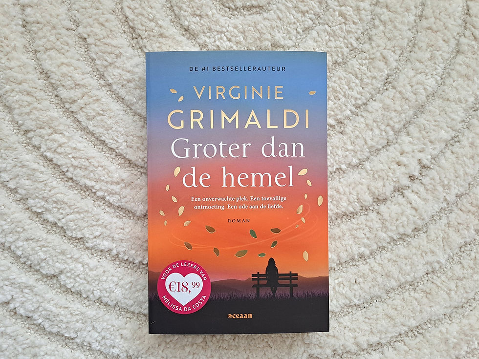 Groter dan de hemel - Virginie Grimaldi