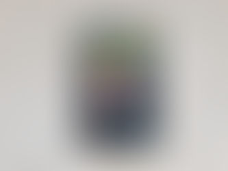 Gesnapt - Chantal Traas