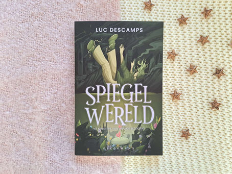 Spiegelwereld - Luc Descamps