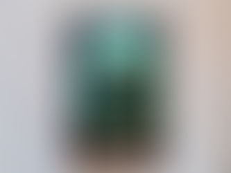 Vuurbloed 3 - Spreeuw en de lichtgrot - Aisling Fowler