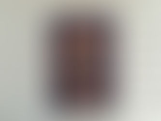 De bevroren vlammenzee - Astrid Reynders