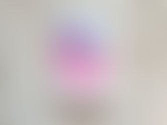 De leugens die we graag geloven - Laurentine Van Landeghem