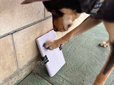 DIY nail file 🐾