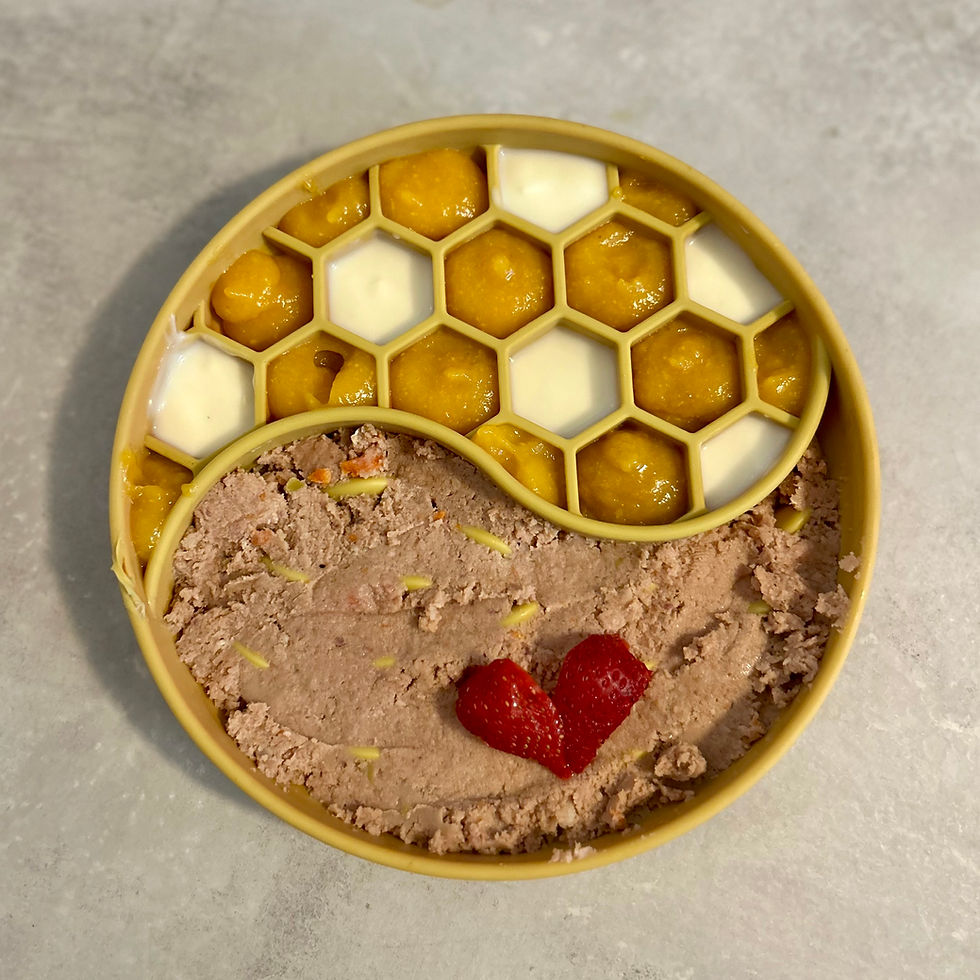 Dog slow feeder bowl