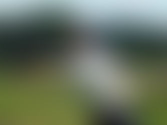 松之山布川地区 野津美梨加