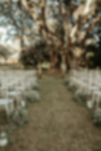 Tallahassee Wedding Planner