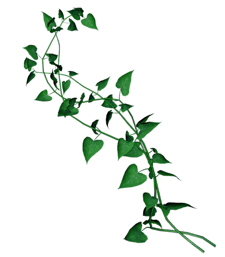 hiclipart.com (2).png