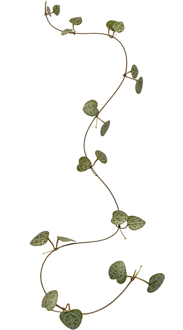 hiclipart.com (3).png