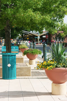 Las-cruces-planters
