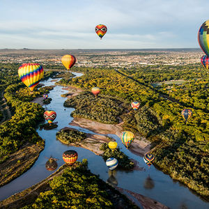 Bosque Revitalization