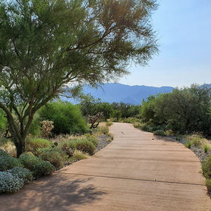 Vistoso Trails Master Plan