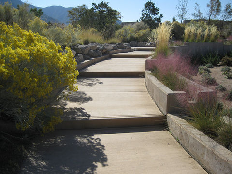 High Desert Community