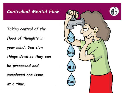 ControlledMentalFlow copia.jpg