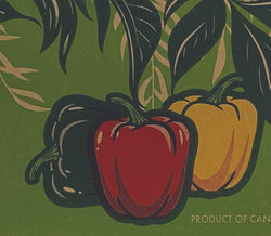 Modernize branding, prioritizing print-production efficiency.