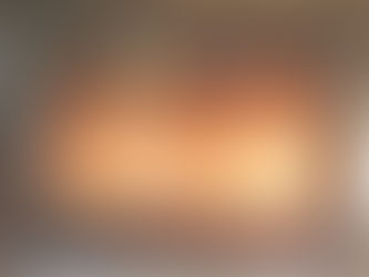 Hankkiiko TS takkasydän hintaansa?