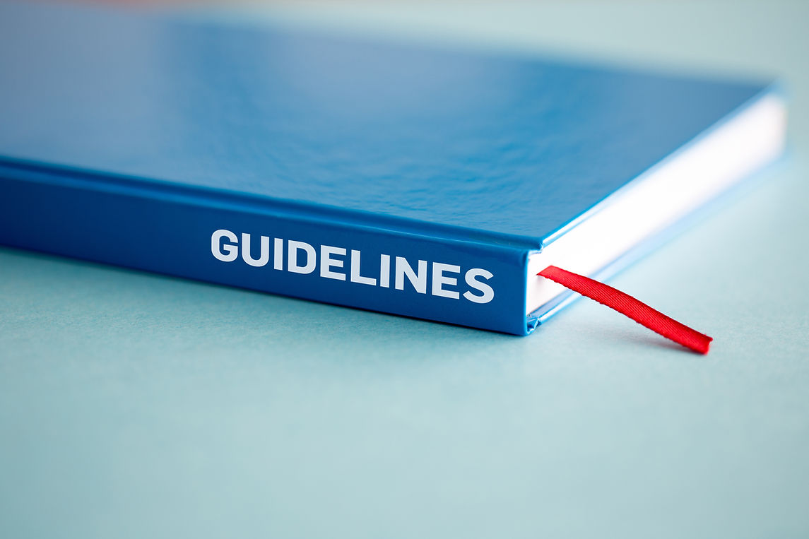 GUIDELINES CONCEPT.jpg