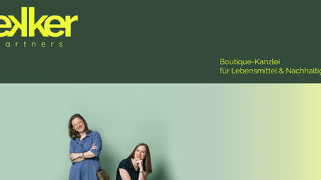 Porträts mit Haltung: Wie ich für Lekker partners ein visuelles Konzept mit Tiefe entwickelte. Ein Branding mit Wirkung.