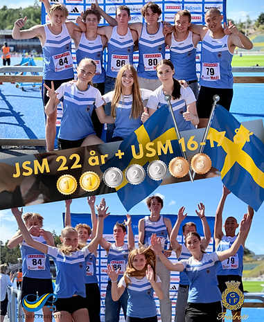 USM 16-17 år.png