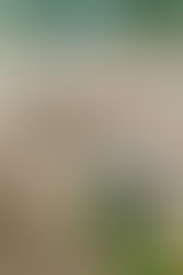 ASAR PANDRA AND THE SIGNIFICANCE OF EATING DAHI CHURA