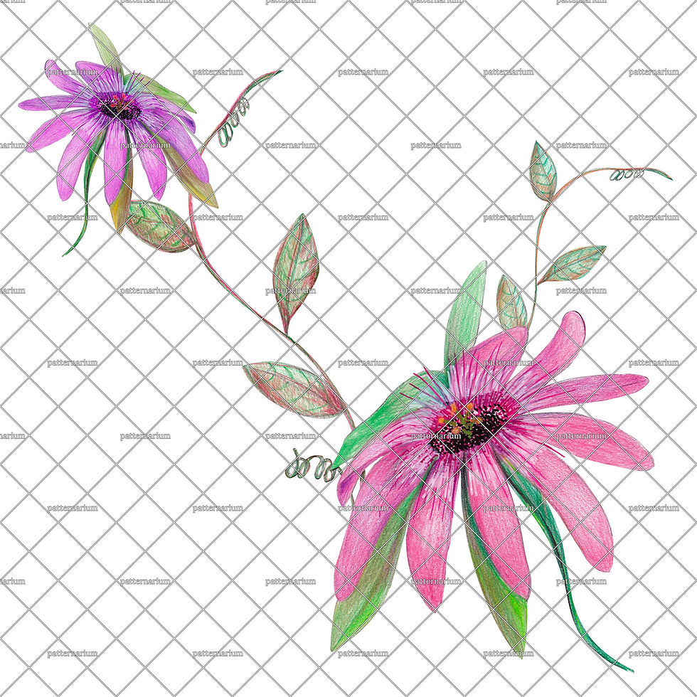 Max Flor De Maracujá