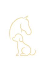 Minimalistische Vektorgrafiken