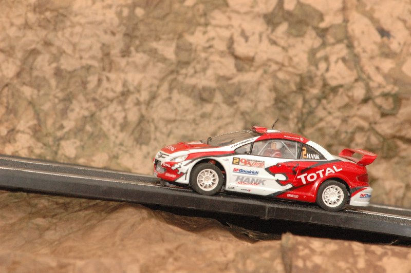 mini-DSC_3645