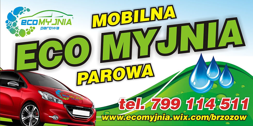 ECO MYJNIA PAROWA