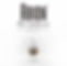 rbion rener bottle gold2.jpg