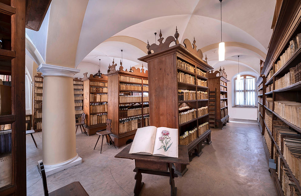 Historische_Stadtbibliothek_Bad_Windsheim.jpg