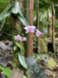 WhatsApp Image 2019-03-05 at 14.00.12.jp