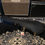 Thumbnail: 1958 Gibson Les Paul Custom