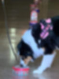 270261369_4664473850318552_2819739940396763305_n.jpg