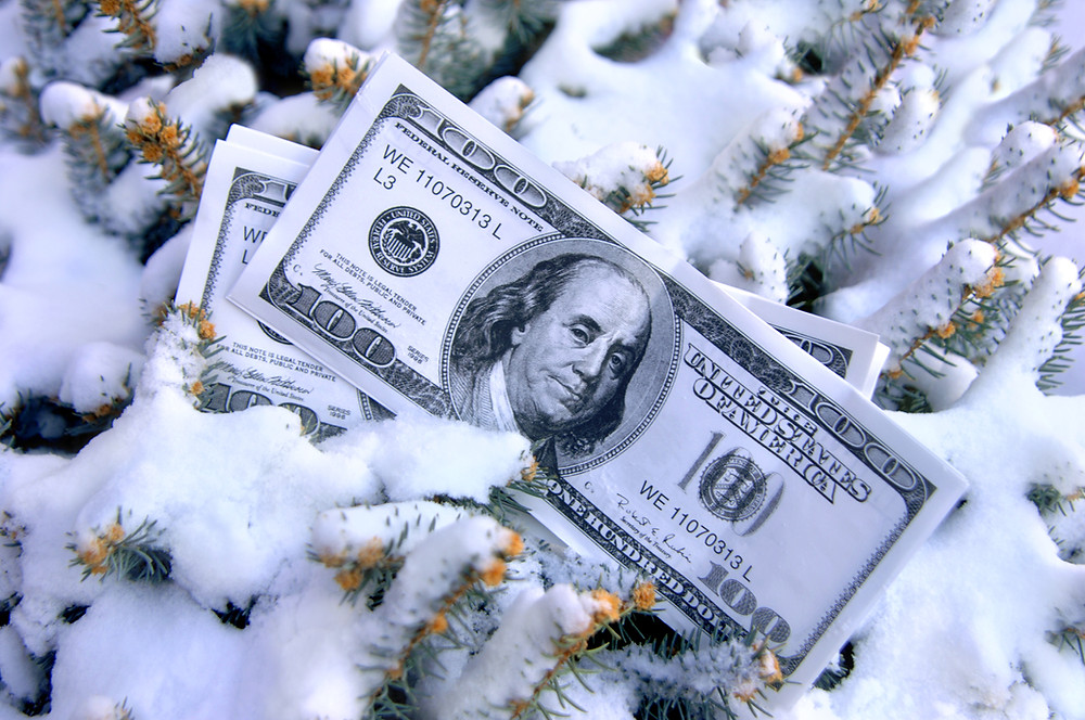 money on snow covered tree