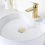 Thumbnail: imiiHO 001 Basin Sink Waste with Overflow Hole