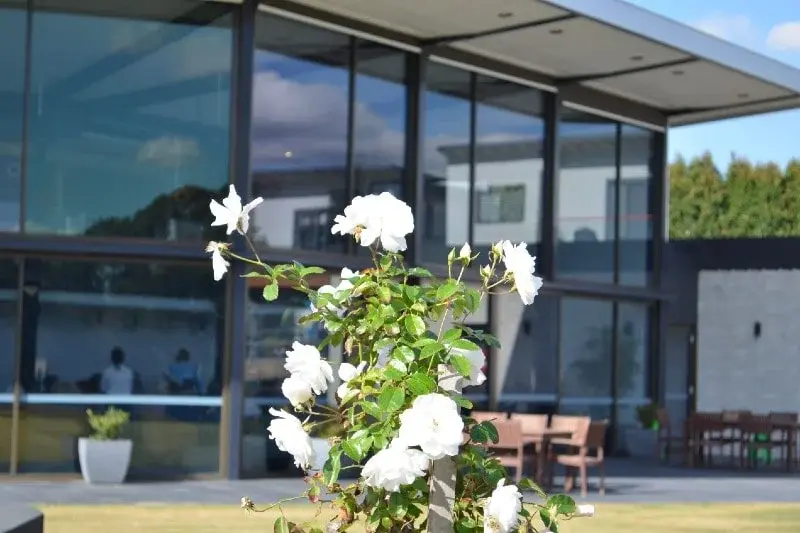 Navigating the Emotional Aspects of Transitioning to a Retirement Village